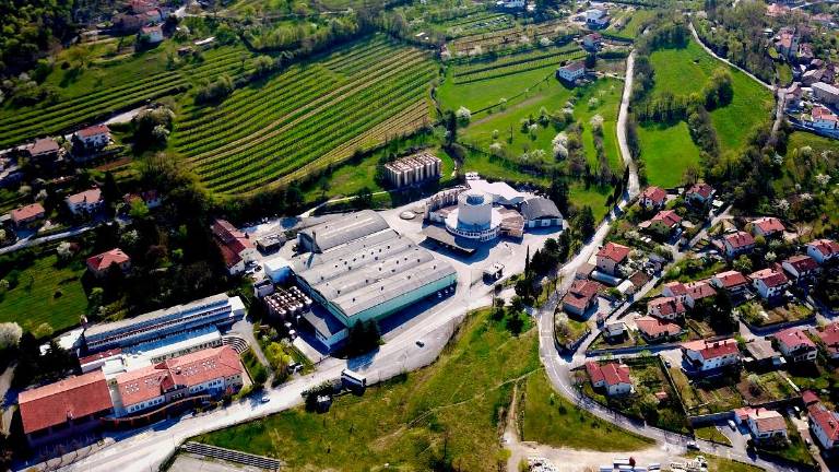 Vipavska vinska klet zaradi visokih temperatur ob četrtino pridelka
