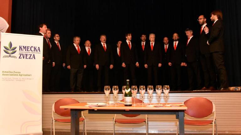 Pokušnja prosekarjev ob sv. Martinu