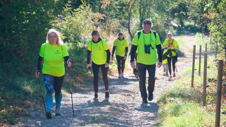 Jesenski pohod na Kohišče