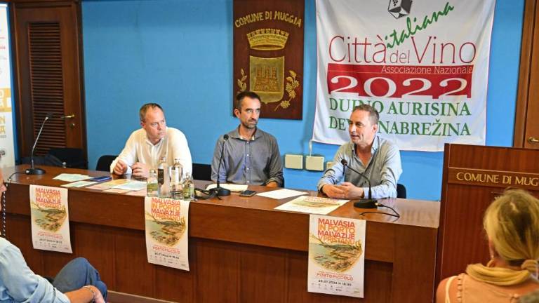 Malvazije letos v pristanu Portopiccolo