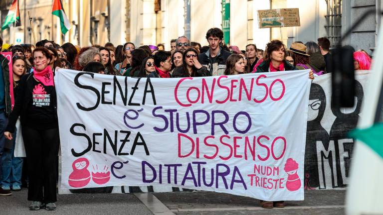 Zapori ne rešujejo družbenih problemov, tudi ne spolnega nasilja