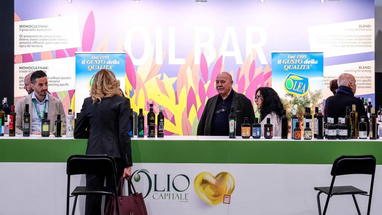 V Trstu poteka 18. izvedba sejma Olio Capitale