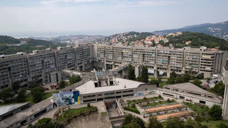 Uspeh mikroobmočij v boju proti covidu-19