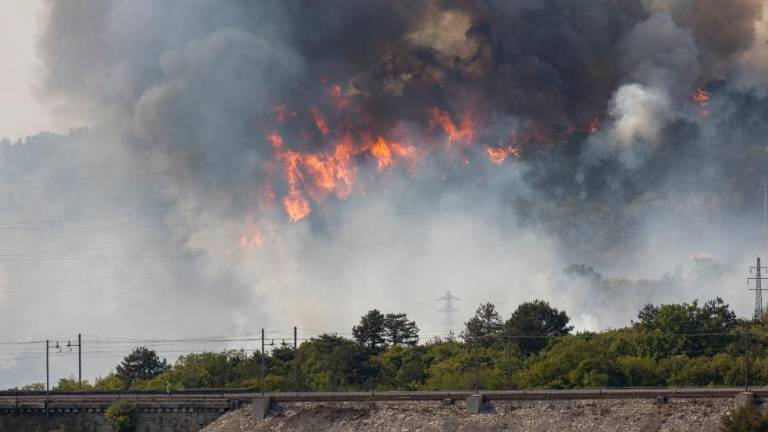 Enotni preventivni ukrepi za skupen boj proti požarom na Krasu