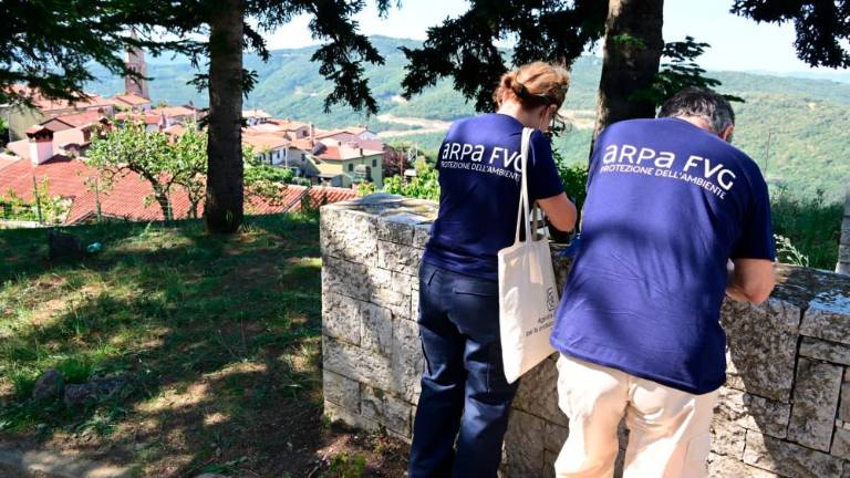 Kanader in helikopterji še na delu (foto in video)