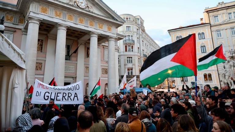 Množična udeležba na popoldanskem shodu za Palestino (VIDEO)