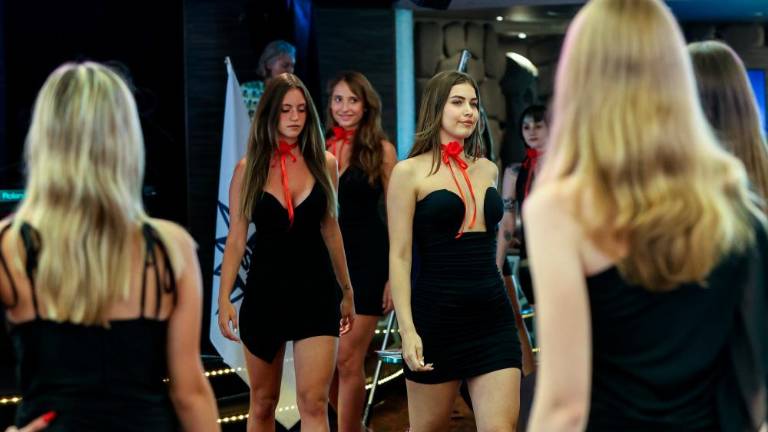 Katera bo najlepša?