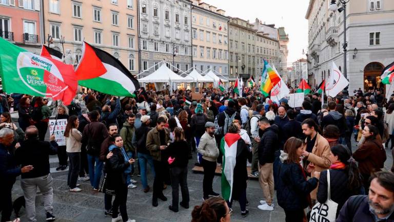Množična udeležba na popoldanskem shodu za Palestino (VIDEO)
