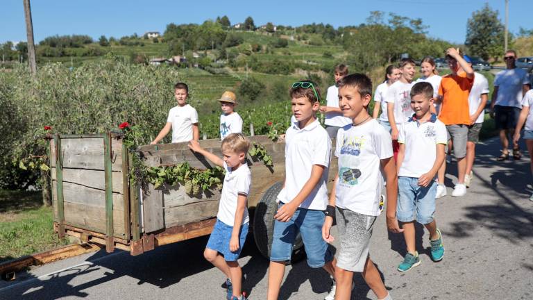 Družinske kmetije dodana vrednost Števerjana (foto in video)