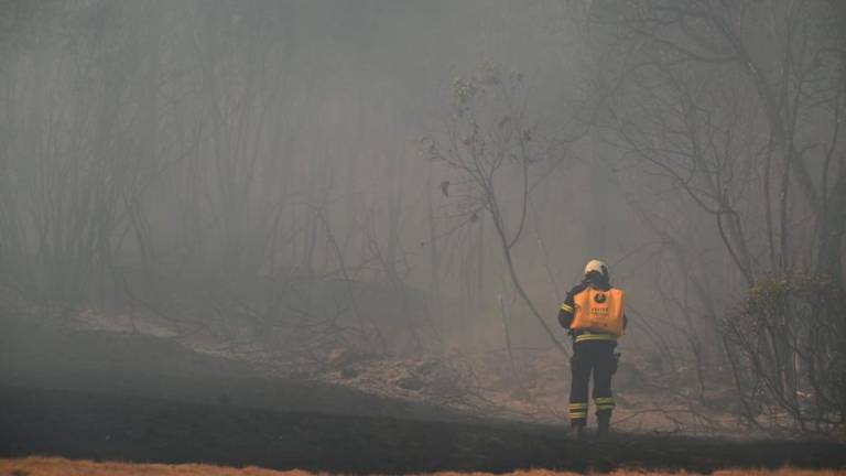 Pred gasilci nova naporna noč (foto in video)