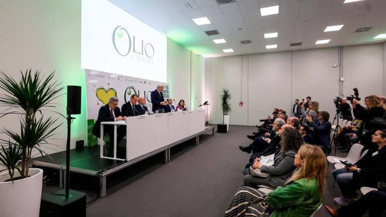 Vrhunska oljčna olja iz štirih držav v Starem pristanišču