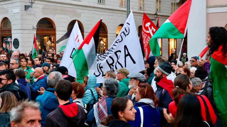 Množična udeležba na popoldanskem shodu za Palestino (VIDEO)