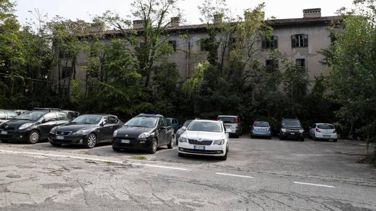 Železarno je zaprl denar, ne pa politiki