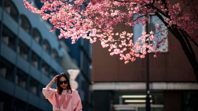 Na Japonskem zacvetele češnje