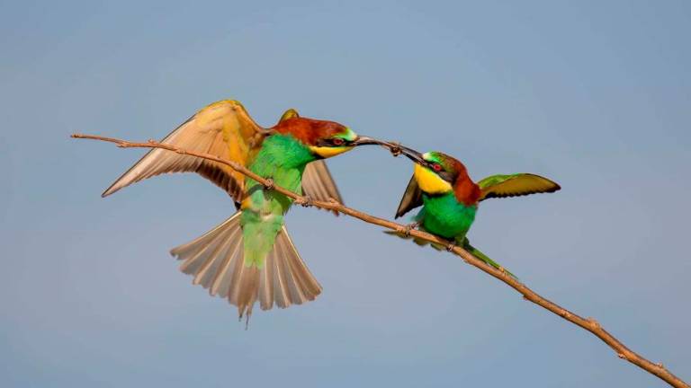 Vrnili so se čebelarji