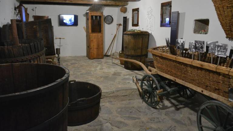 V briških kleteh ni bilo le vina ...