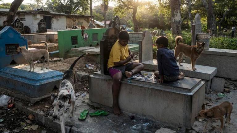 Znani finalisti za nagrado Luchetta