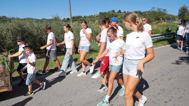Družinske kmetije dodana vrednost Števerjana (foto in video)