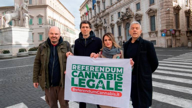 Zavrnili tudi referendum o dekriminalizaciji konoplje