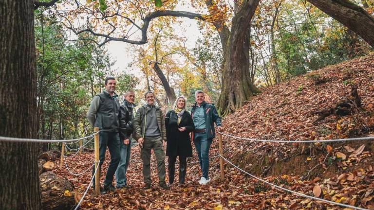 Naravni dragulj vabi