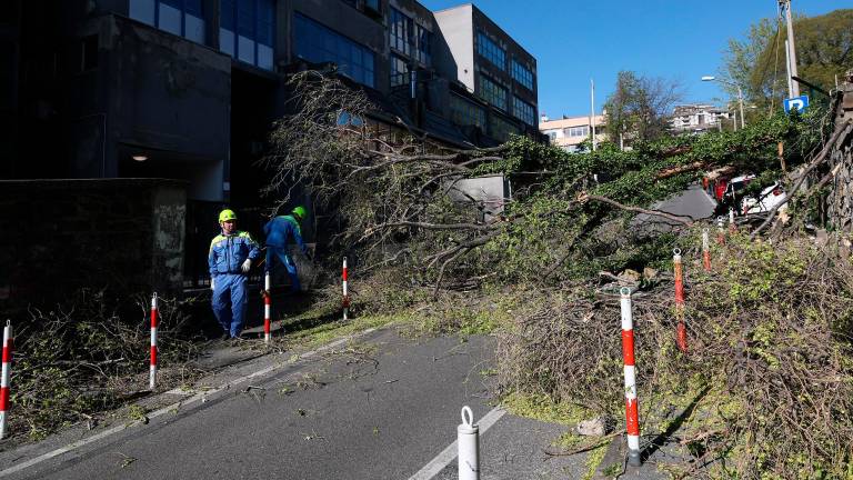 Burja s sunki do 111 km/h in visoko povprečno hitrostjo povzroča težave
