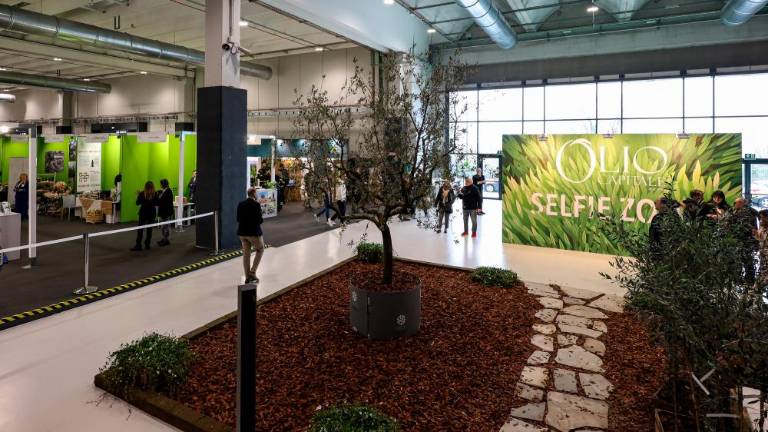 Najboljša olja iz Apulije in Sardinije