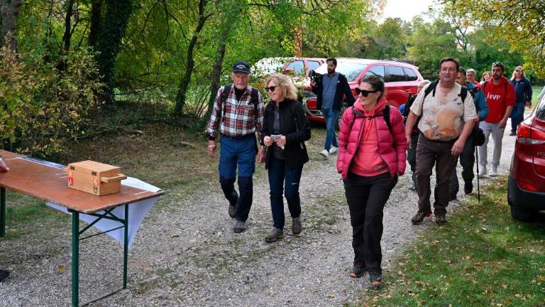 Uspel pohod po kraških pečinah in spomenikih