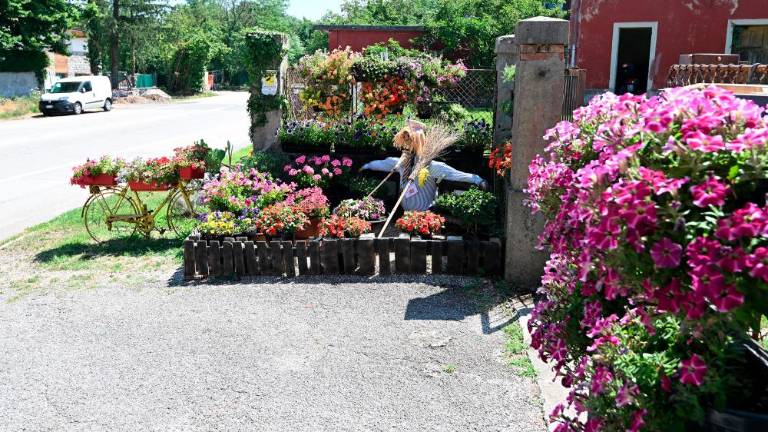 Opčine bodo spremenili v dišeči vrt