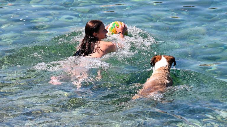Štirinožni prijatelji imajo svojo plažo