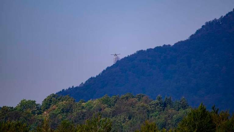 Požar nad Borovcem pri Kočevski Reki dokončno pogasil dež