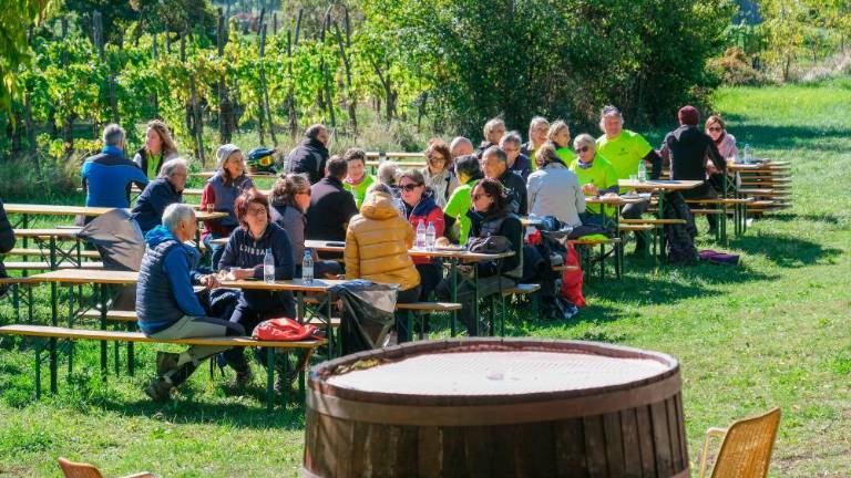 Jesenski pohod na Kohišče