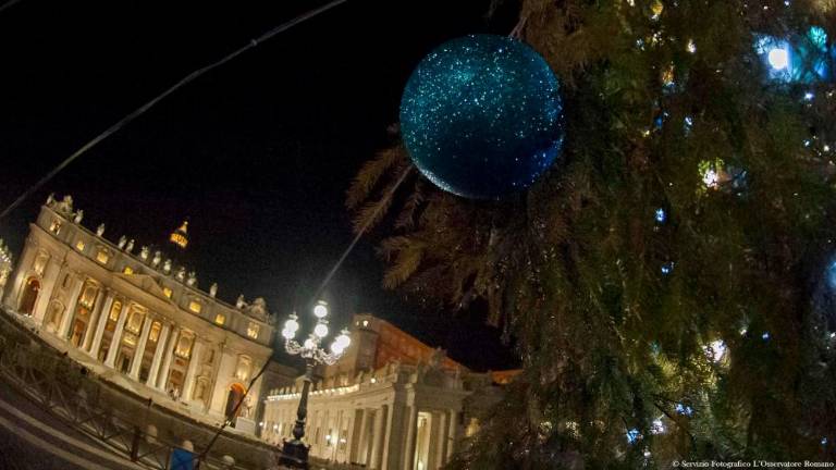 V prazničnem času na Trgu sv. Petra morda slovenska smreka