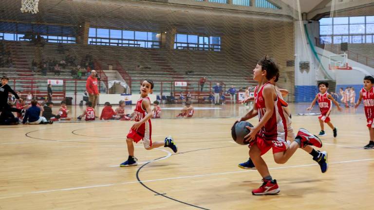 Minibasket Day uvedel nastop Jadrana