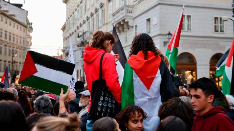 Množična udeležba na popoldanskem shodu za Palestino (VIDEO)