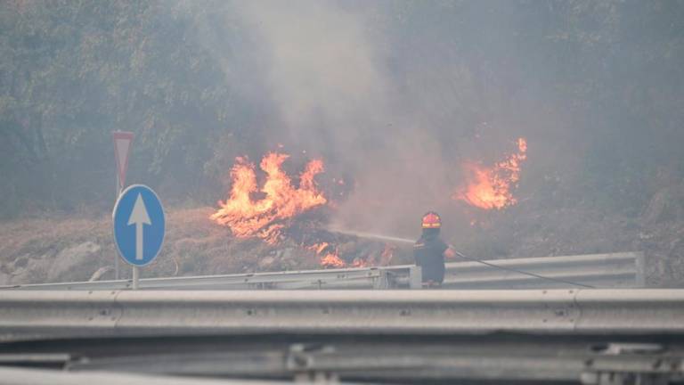 Ogenj prečkal avtocesto in državno cesto v Sesljanu (video)