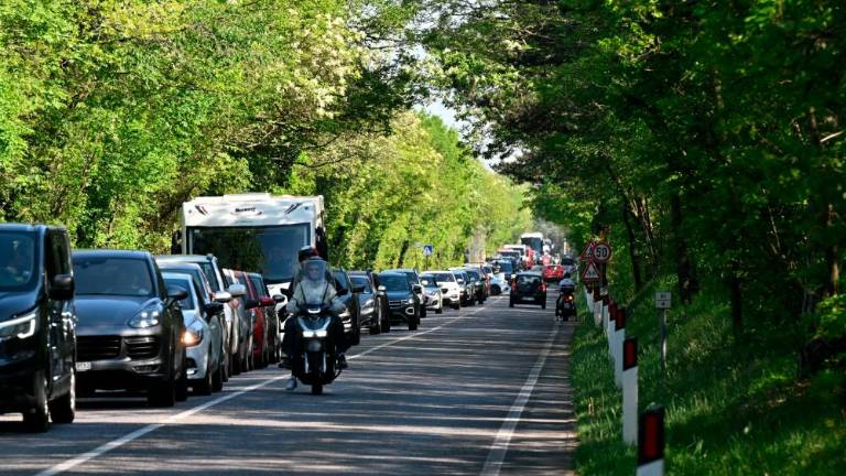 Nejevolja zaradi prometnega kolapsa na Krasu