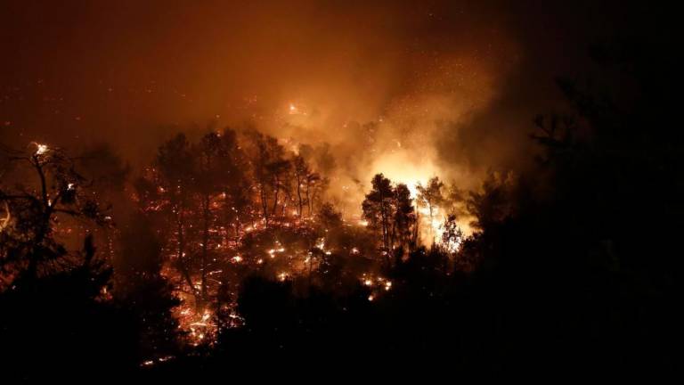 Požar povzročil ekološko katastrofo (foto)