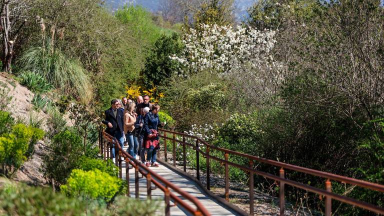 V vrtu Viatori v Gorici vrhunec cvetenja (foto)
