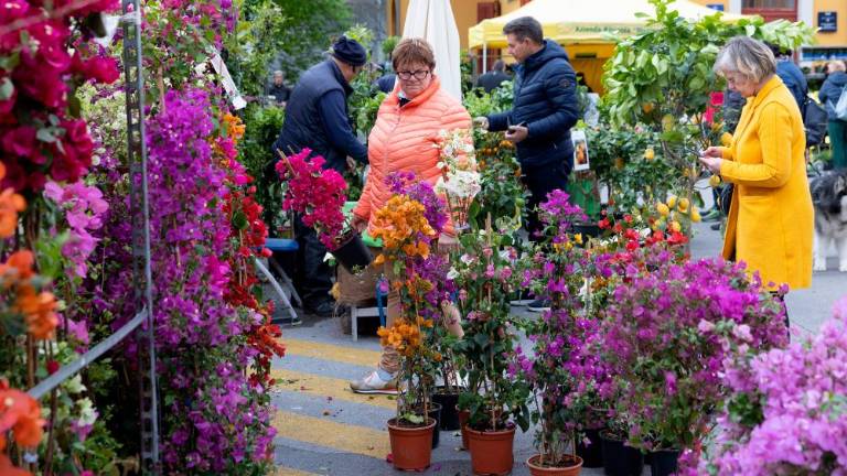 Sejem Horti Tergestini vabi ljubitelje cvetja in vrtov