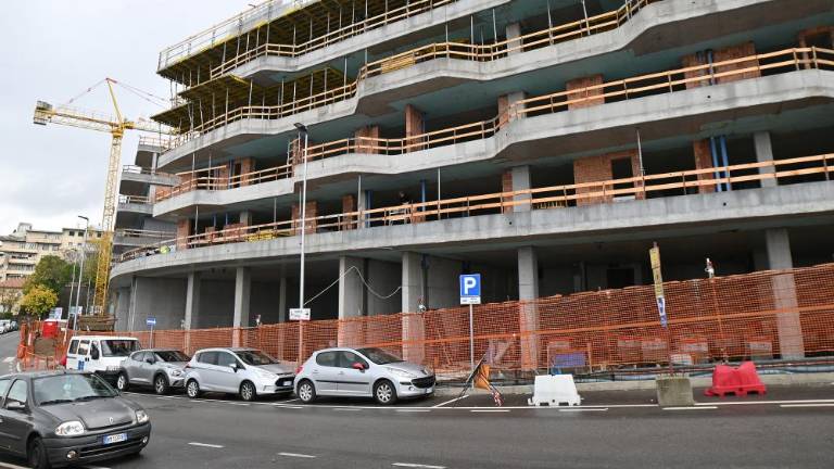 Več kot 500 ljudi si želi zelenja in ureditve območja pri Magdaleni