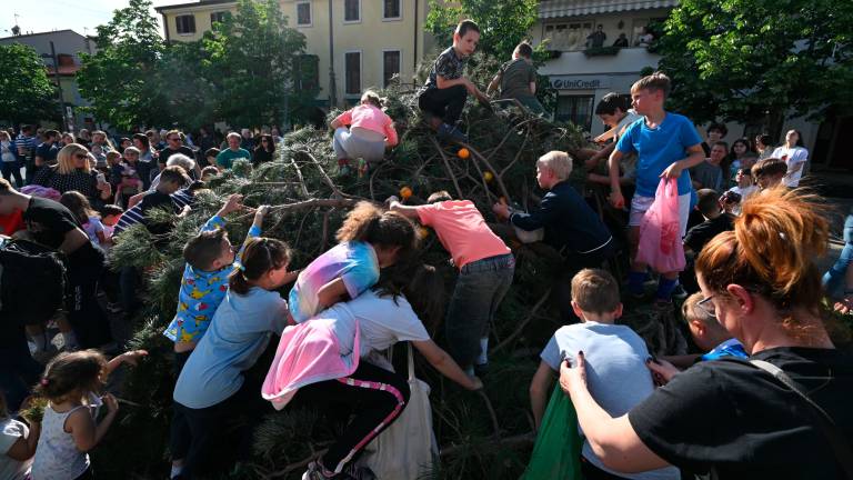 Na tla je zgrmel boljunski maj (foto in video)