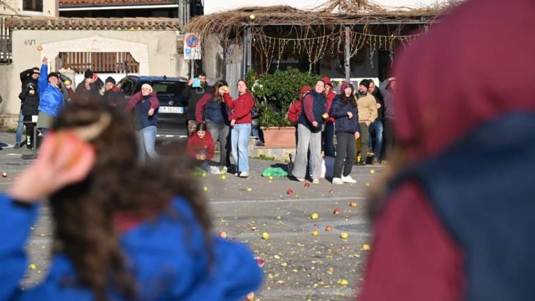 V Boljuncu so spet letela jabolka