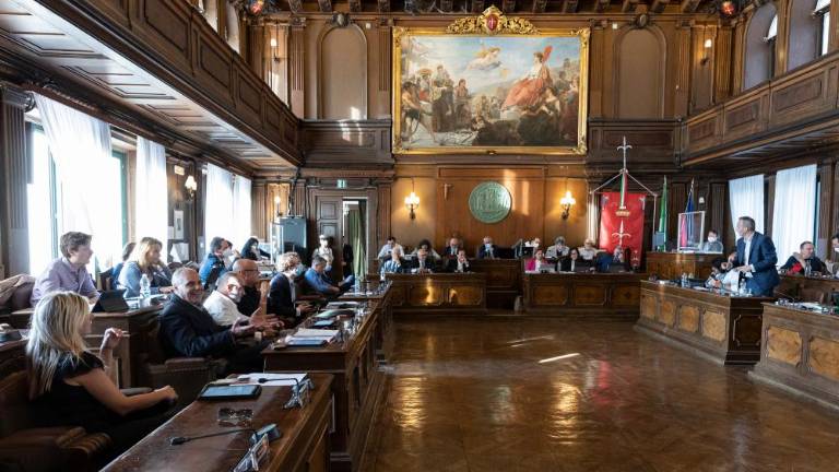 Za delovanje mestnega sveta 484 tisoč evrov