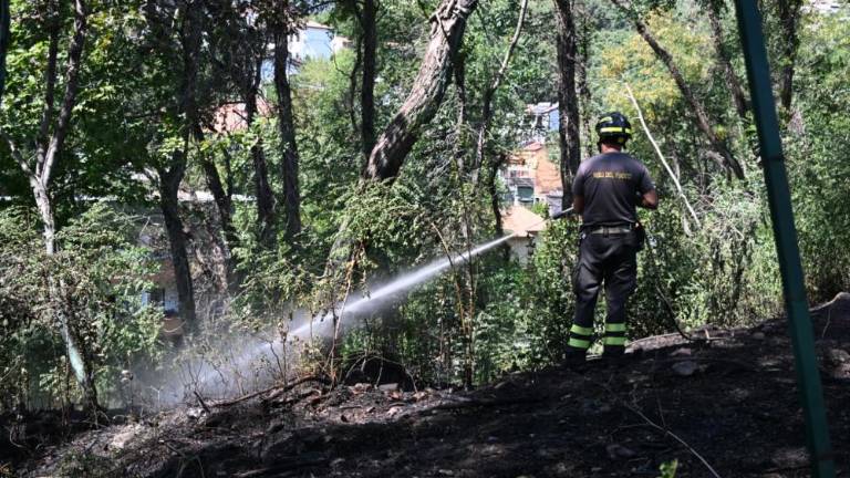 Zagorelo v Svetoivanskem parku