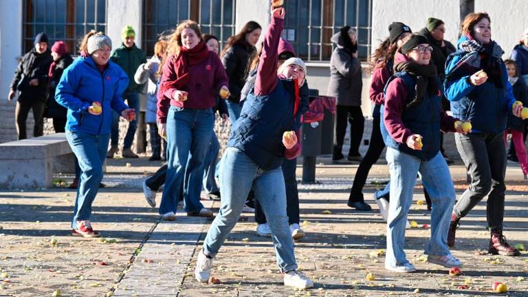 Okrogla obletnica obmetavanja z jabolki