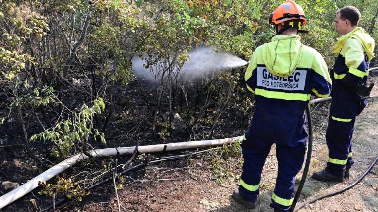 Požar na Krasu je pogašen