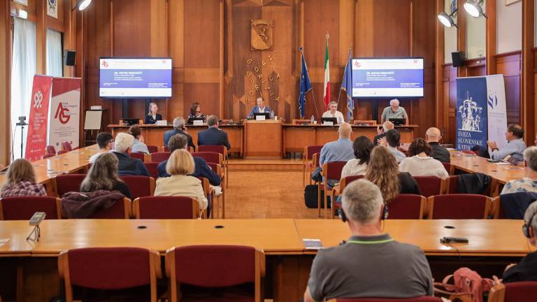 Mednarodni posvet v nekdanji dvorani pokrajinskega sveta (TIBALDI)