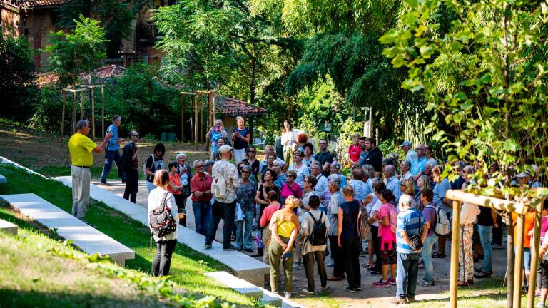 Nova Gorica vse bolj zeleno mesto