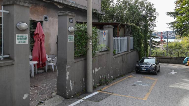 Železarno je zaprl denar, ne pa politiki