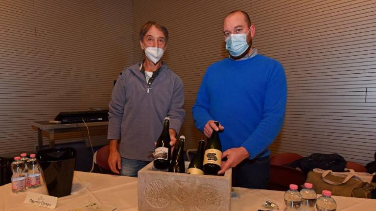 Pokušnja prosekarjev ob sv. Martinu